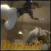 Bonzai