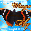 You gave my soul wings and taught it to fly