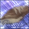 Promise not to let go